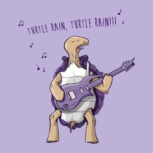 Turtle Rain affiche
