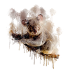 Koala bear australia gift shirt