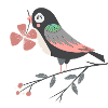 bird with four-leaf clover