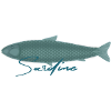Sardine singel