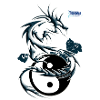 the dragon toonis