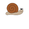 Slow snail