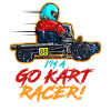 Go-kart racer