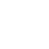 Flamingo – Evolution