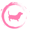 dachshund