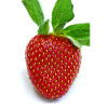 fraise