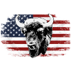 Buffalo - USA flag