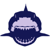 shark tooth shark mouth open in 1504