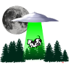 UFO abduction - cow