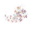 schmetterling