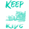 roller coaster