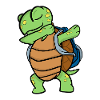 Turtle School