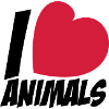 I love animals