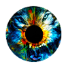 Eye of the wolf