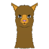 Lama