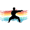 judo