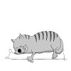 today offline