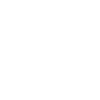 D20