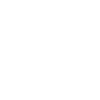 der sterbende Schwan