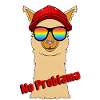No Problama Lama