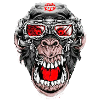 Crazy Monkey