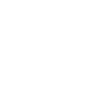 checkered flag