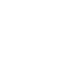 THE STANDARD