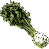 Celery cartoon