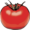 Tomato cartoon