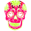 skull