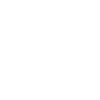 Circle icon