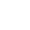 The welder