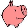 little pig