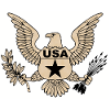 usa army 2