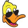 duck