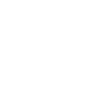 Paraglider