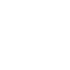 Skull with wings