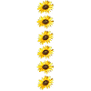 sunflowers row