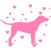Labrador