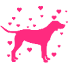 Labrador