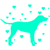 Labrador