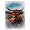 beef
