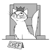 Chef cat Charly