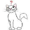 Wonderkitty