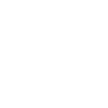 Labrador Mama