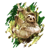 Paresse avec fond de jungle