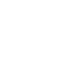 Propriété d’un Yorkie