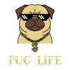 Pug live love