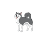 HUSKY