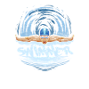 Swimmers swim